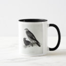 Search for galapagos mugs English