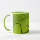Search for gecko mugs Abstract
