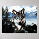 Recherche de visage de loup posters Sauvage