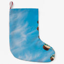 Search for clear christmas stockings Sky