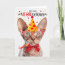 Search for devon cards Cats