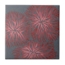 Recherche de oeillets carreaux Fleurs