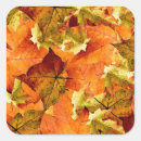 Search for crisps stickers Leaves