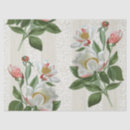 Search for peony tissue paper Floral