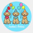 Recherche de goldens autocollants Chien d'arrêt