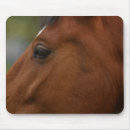 Recherche de crinière tapis souris Poney