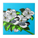Search for birdwatcher tiles Birding