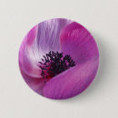 Search for anemones buttons Purple
