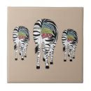 Search for zebra tiles Wildlife
