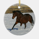 Search for thoroughbred horse ornaments Running