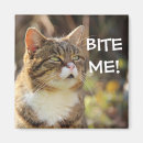 Search for biting buttons magnets Cat