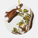 Search for wildlife ornaments Vintage