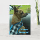 Recherche de chihuahua birthday cards Anniversaire