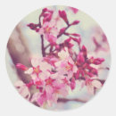 Recherche de arbre fleurissant autocollants Fleurs roses