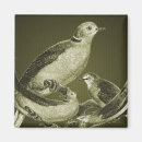 Recherche de ornithologie magnets Nature