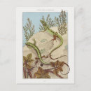 Recherche de lézard cartes postales Nature