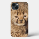 Search for cheetahs ipad cases Cat