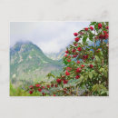 Search for tatra postcards High tatras