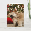 Search for golden christmas cards Dog
