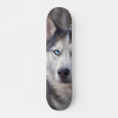 Recherche de dachshund skateboards Pour tous