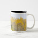 Search for gunnison mugs Gunnison national forest