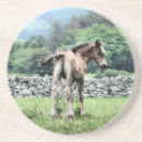 Search for colt barware Ponies