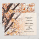 Search for maple tree Trees