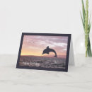 Search for dolphin birthday cards Sunset
