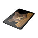 Search for black bear bathroom accessories Cabin