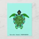 Search for turtle stuff postcards Wildlife