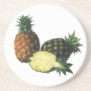 Search for vintage hawaiian coasters Retro