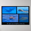 Recherche de dauphin posters Vagues