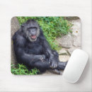 Recherche de singe chimpanzé tapis souris Faune
