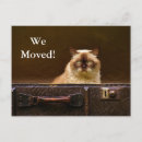 Recherche de siamois invitations Nouvelle adresse