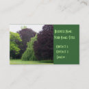 Recherche de arboristes cartes visite Vert