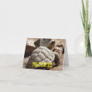 Recherche de tortue drôle invitations Reptile