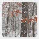 Search for snow storm stickers Winter