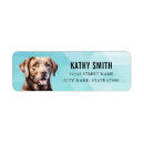 Search for chocolate lab return address labels Cute
