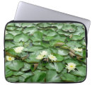 Search for asiatic electronics Lily