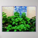 Search for balm posters Garden