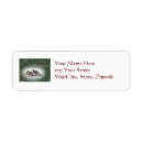 Search for wild turkey return address labels Animal