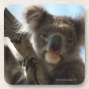 Search for australia barware Outdoors