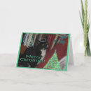 Search for oreo cards Cat