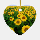 Search for field ornaments Blue