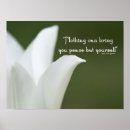 Recherche de tulipe blanche posters Nature