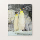 Recherche de penguin puzzles Animal