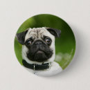 Search for headshot buttons Pug