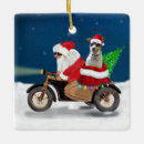 Search for rat ornaments Dog