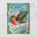 Search for winter robin christmas cards English