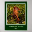 Search for animal quotes posters Cute